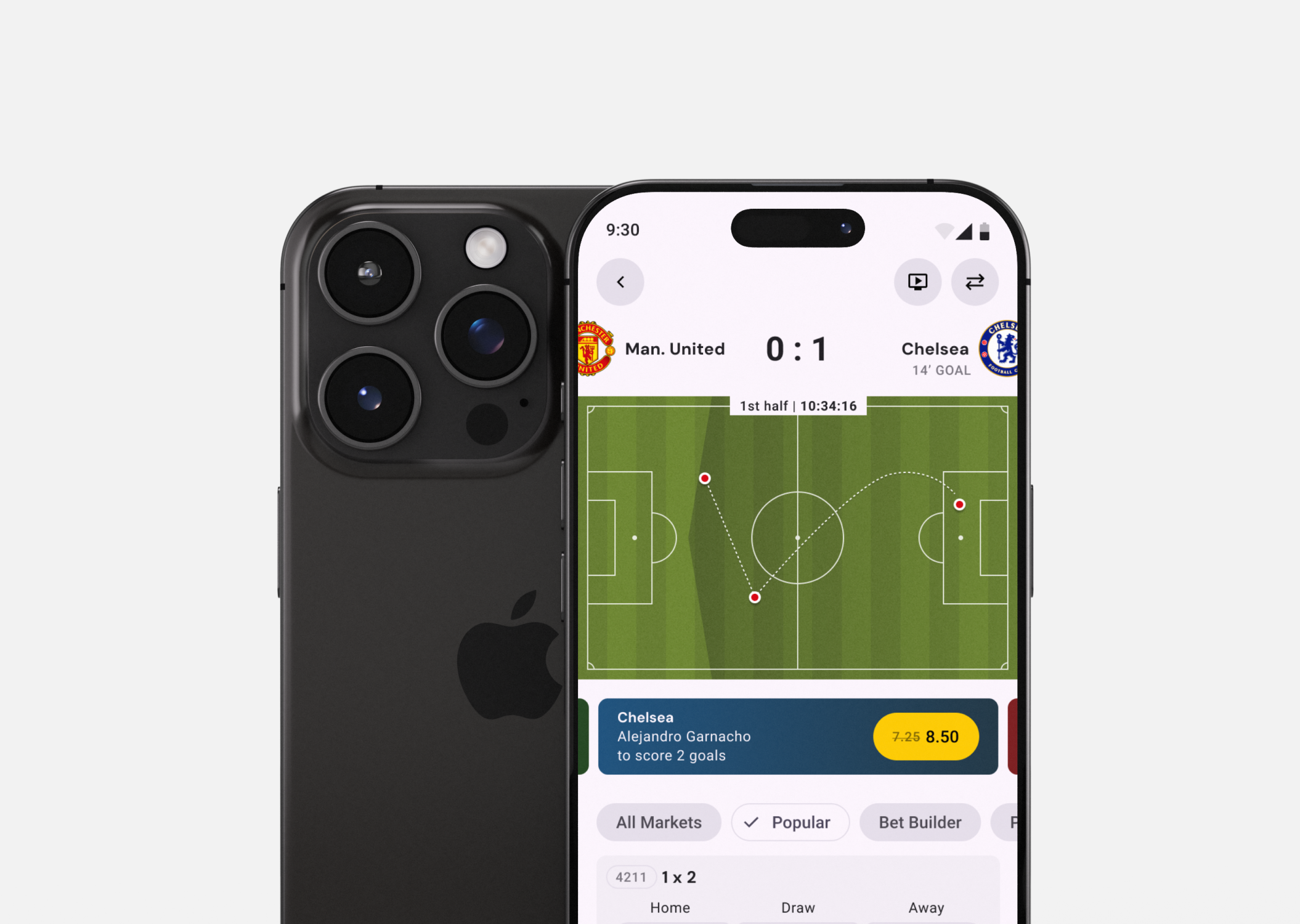 Project preview