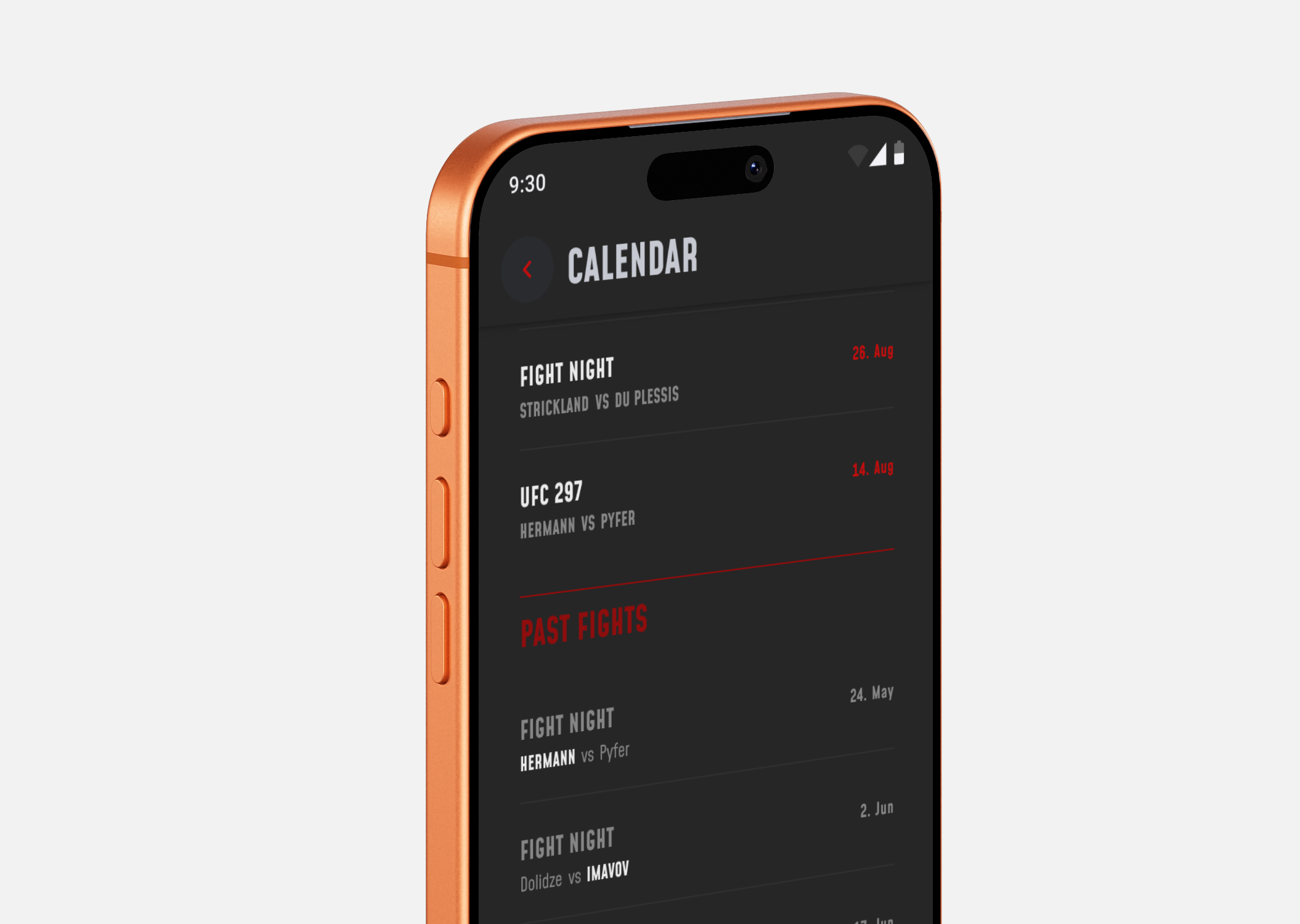Project preview