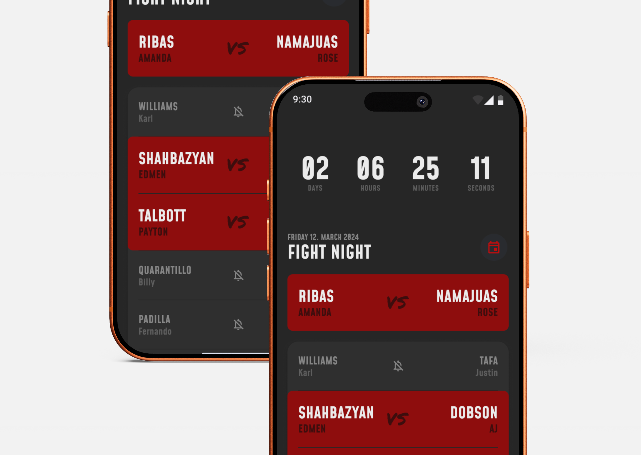 Project preview