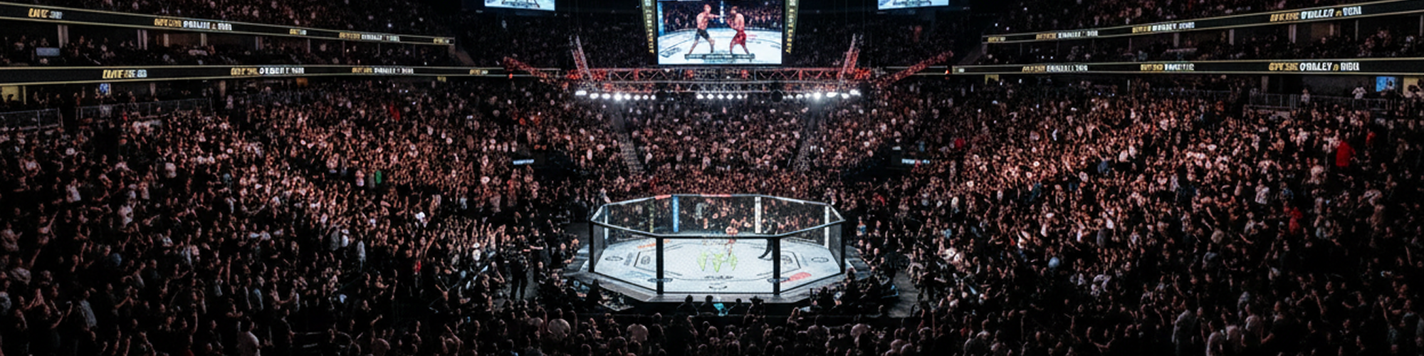 UFC arenas