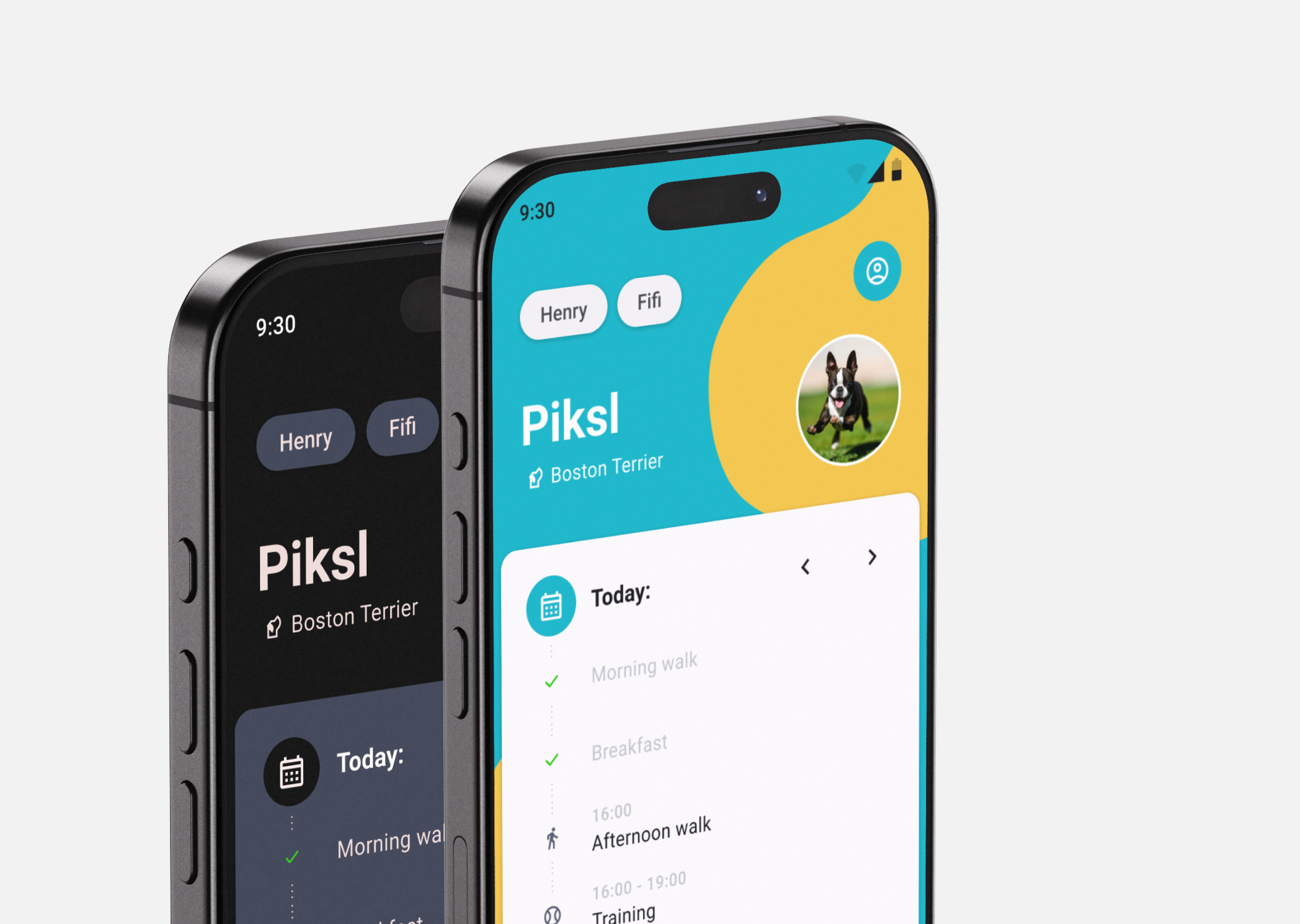 Project preview