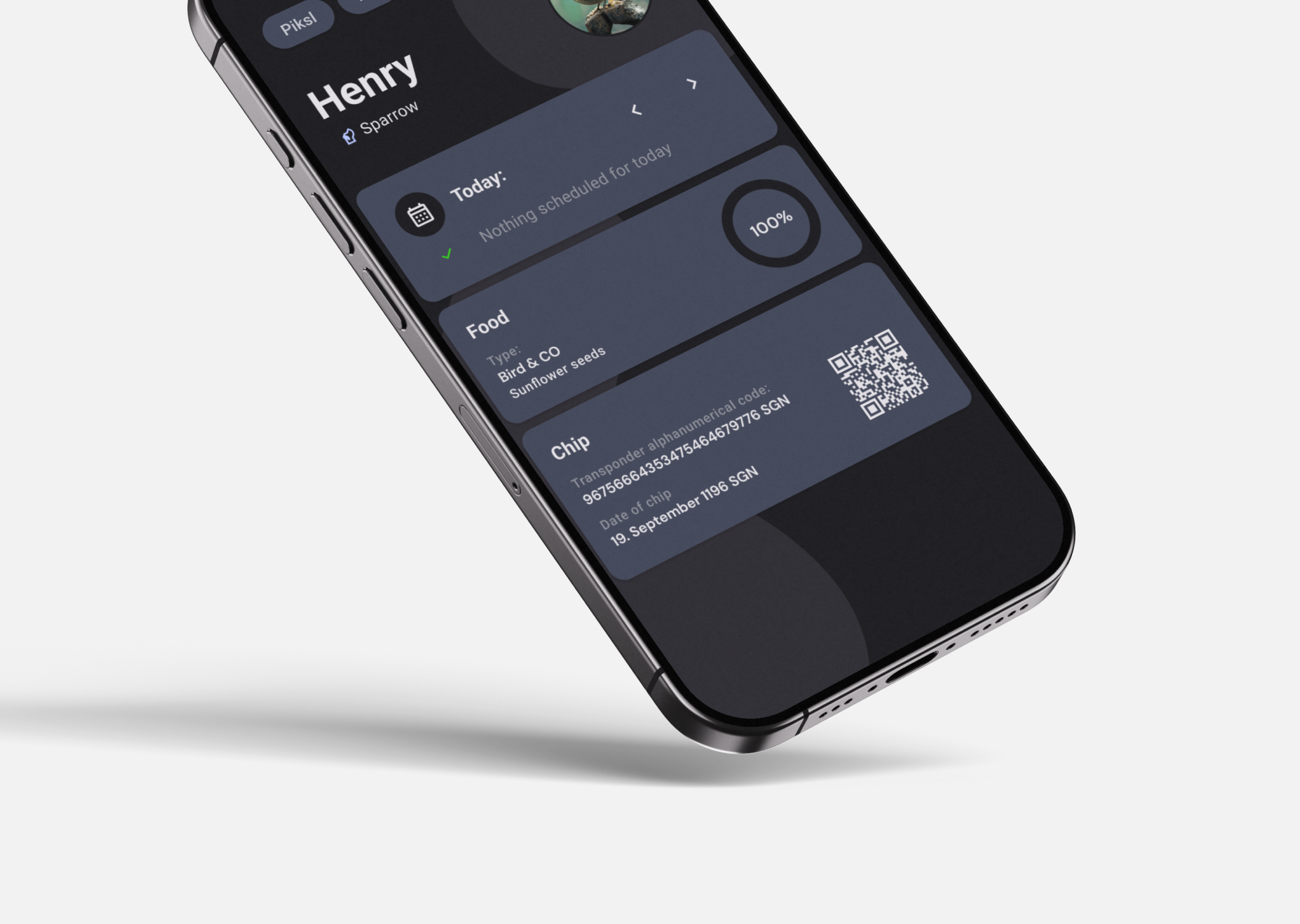 Project preview